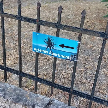 Artemis златна гледка към морето Polychrono